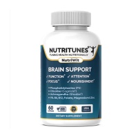 NutriWit Brain Support