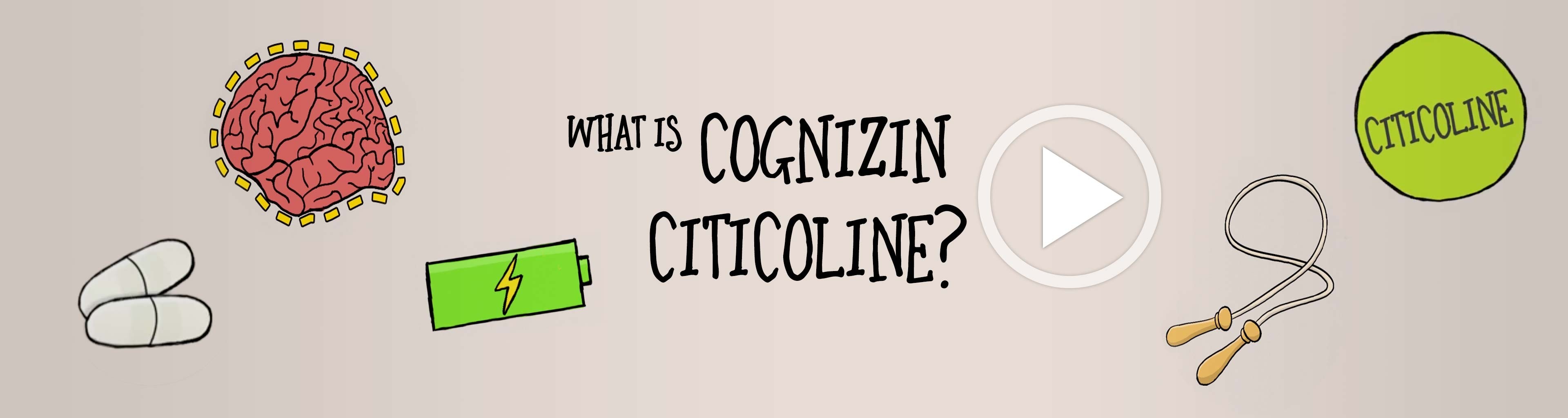Home | Cognizin® Citicoline — Zone In