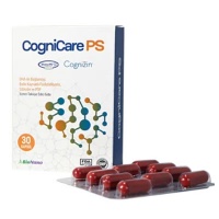 CogniCare PS