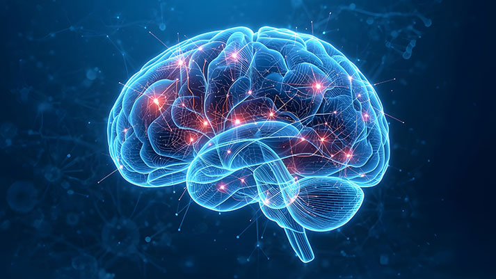 Feeling Mentally Drained? 6 Natural Ways to Support Brain Energy