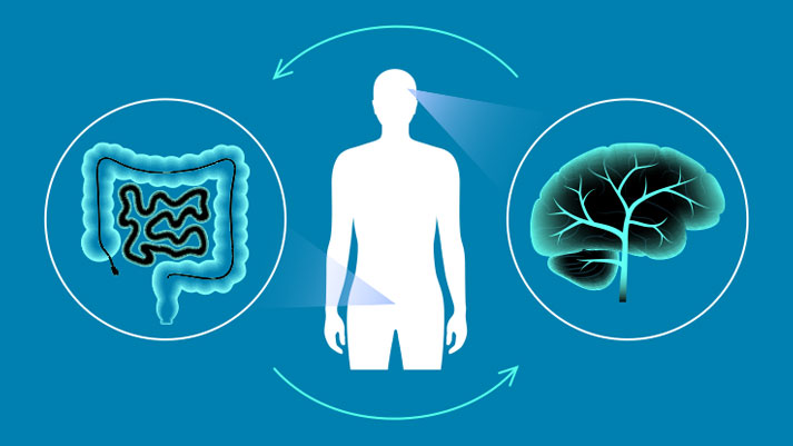 Gut-Brain Axis: How Plant-Based Diets Support Brain Health